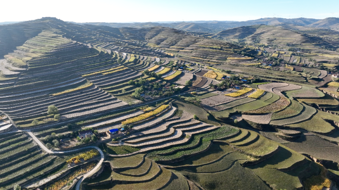 黄土高原丘陵山区扶贫乡村振兴助农