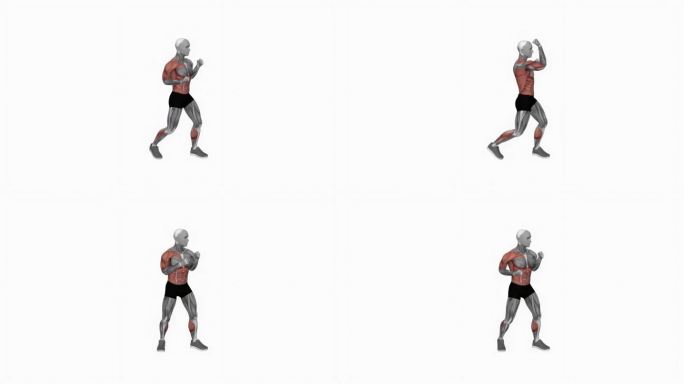 拳击右勾拳健身运动锻炼动画男性肌肉突出演示4K分辨率60 fps