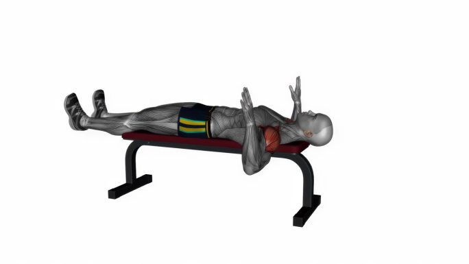 卧凳内旋拉伸健身运动锻炼动画男性肌肉突出演示4K分辨率60 fps