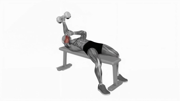 哑铃躺单臂旋后肱三头肌伸展健身运动锻炼动画男性肌肉突出演示4K分辨率60 fps