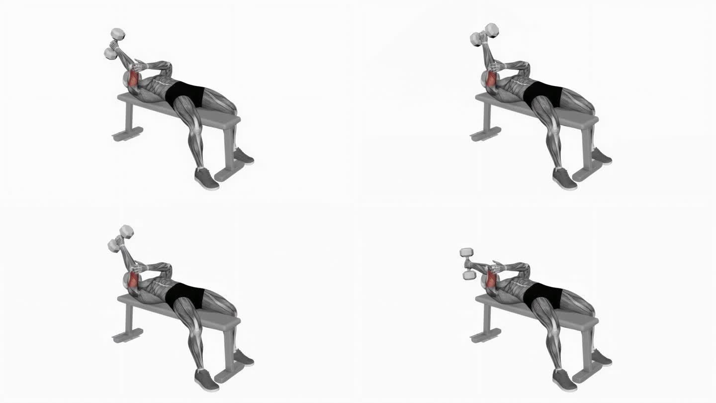 哑铃躺单臂旋后肱三头肌伸展健身运动锻炼动画男性肌肉突出演示4K分辨率60 fps