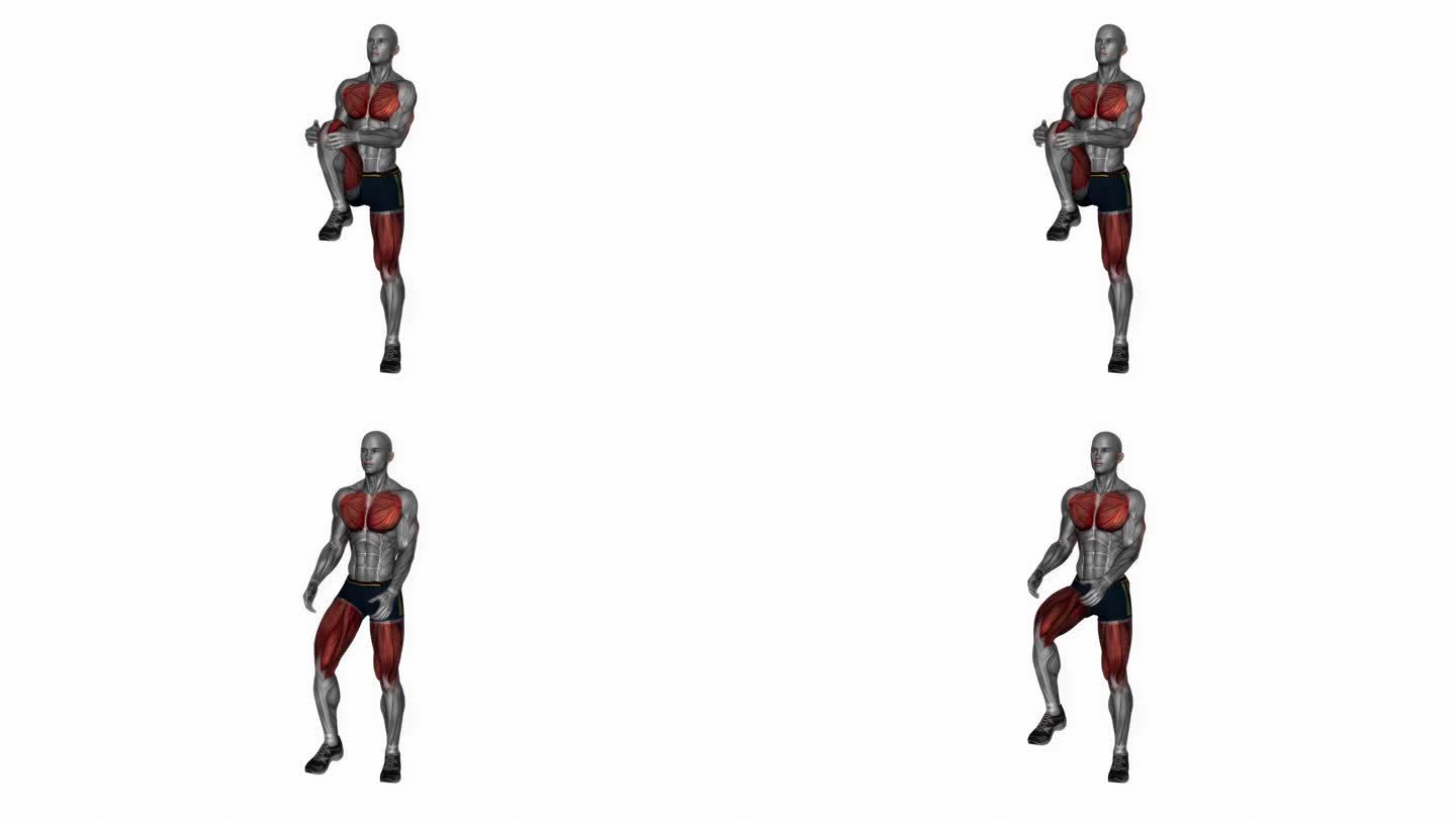 膝盖到胸部伸展健身运动锻炼动画男性肌肉突出演示4K分辨率60 fps
