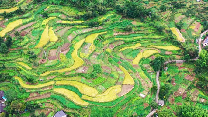 浙江黄岩西部山区，富山乡，半山古村落