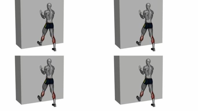 小腿推伸展与手对墙健身运动锻炼动画男性肌肉突出演示4K分辨率60 fps