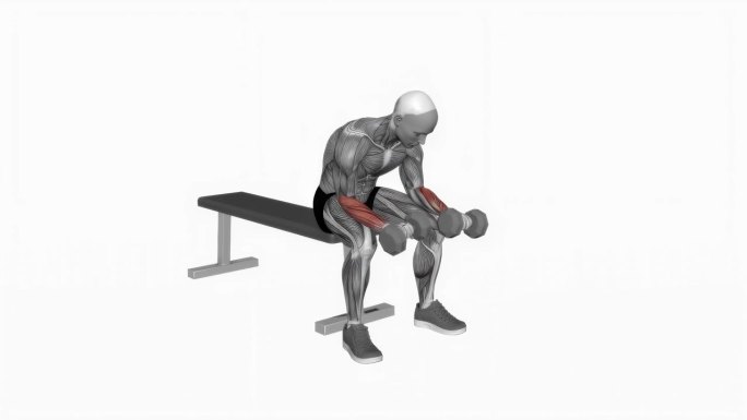 哑铃反手腕弯曲健身运动锻炼动画男性肌肉突出演示4K分辨率60 fps