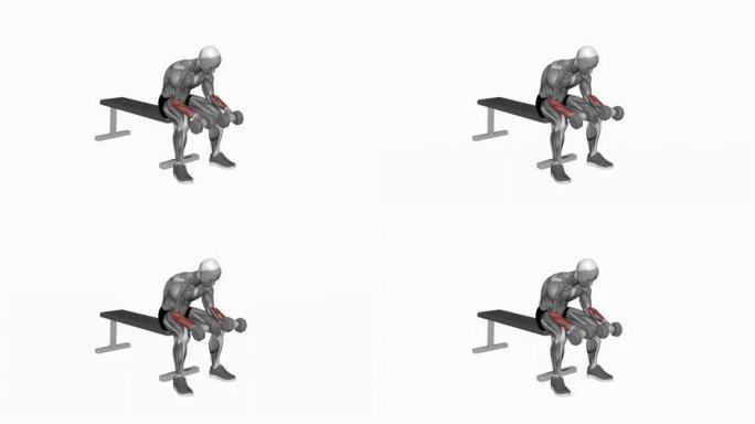 哑铃反手腕弯曲健身运动锻炼动画男性肌肉突出演示4K分辨率60 fps