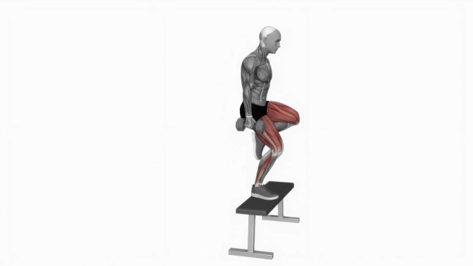 哑铃提升与膝盖提高健身运动锻炼动画男性肌肉突出演示在4K分辨率60 fps