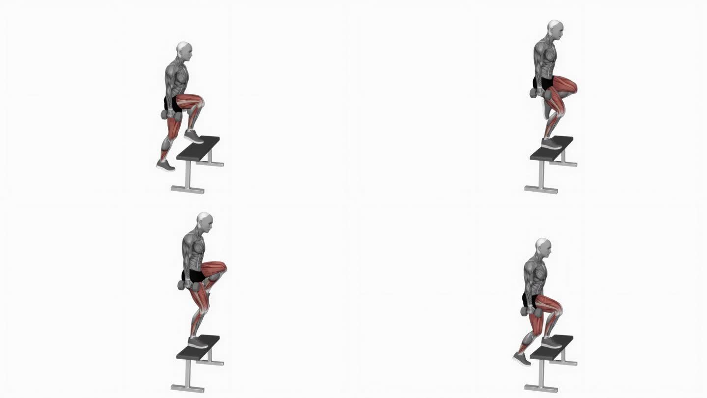 哑铃提升与膝盖提高健身运动锻炼动画男性肌肉突出演示在4K分辨率60 fps