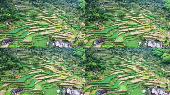 浙江黄岩西部山区，富山乡，决要村