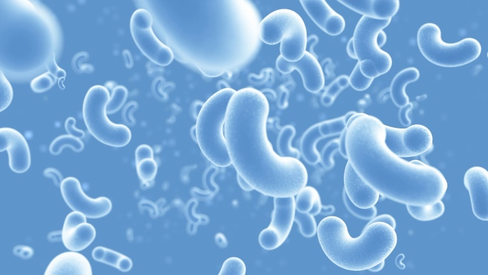 细菌病菌螨虫和益生菌双歧杆菌乳酸菌