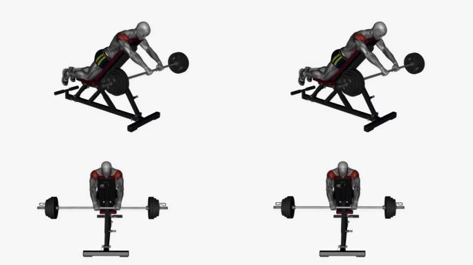 俯卧前举杠铃在长凳上健身锻炼锻炼动画男性肌肉突出演示4K分辨率60 fps