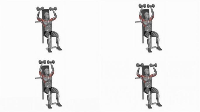 哑铃坐肩按健身运动锻炼动画男性肌肉突出演示4K分辨率60 fps