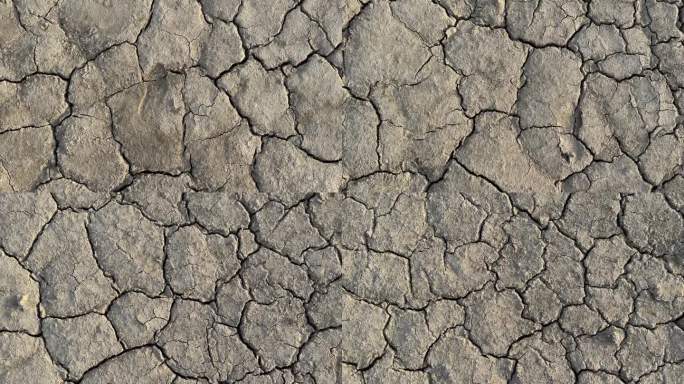 土壤干燥和干旱