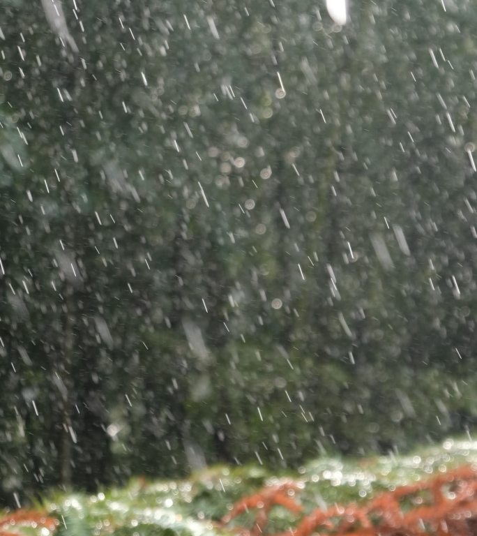 农村院落暴雨雷阵雨