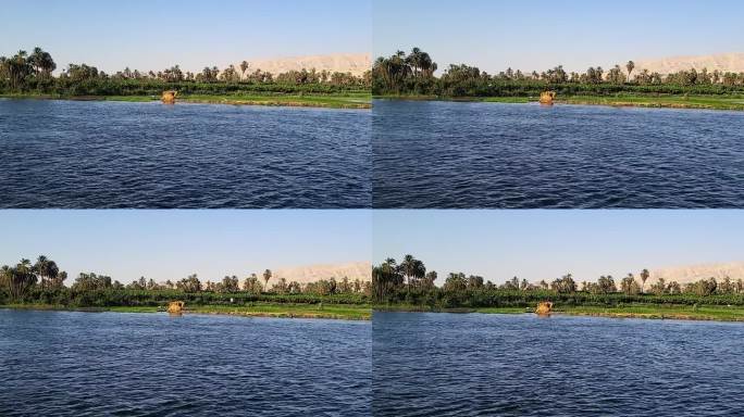 在尼罗河的一个小岛上。尼罗河岸边的植被和飞翔的鸟儿。鸟瞰图。埃及。