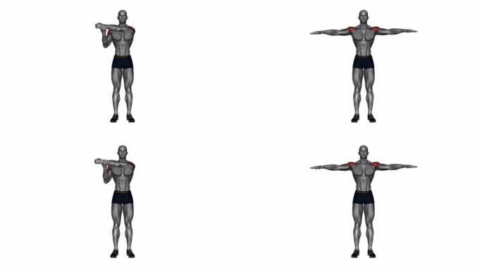 跨胸肩伸展健身运动锻炼动画男性肌肉突出演示4K分辨率60 fps