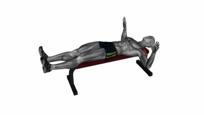卧凳外肩旋转健身运动锻炼动画男性肌肉突出演示4K分辨率60 fps