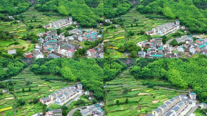 浙江黄岩西部山区，富山乡，决要村