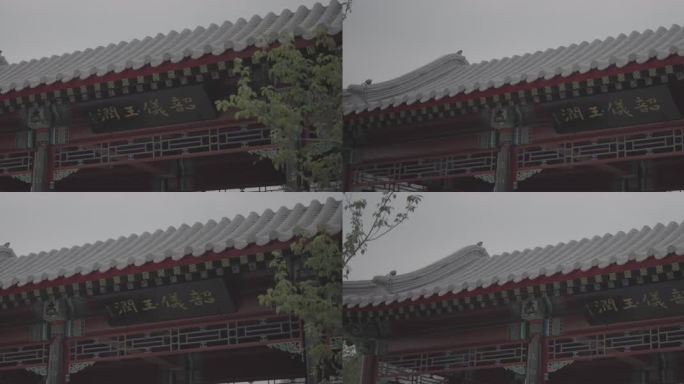曹州古城街景电影机4K LOG 原片