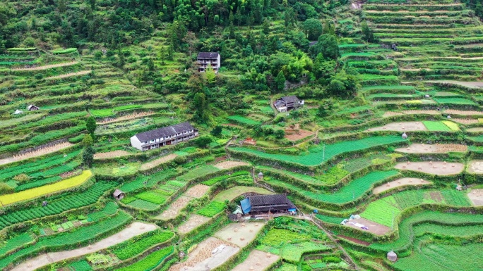 浙江黄岩西部山区，富山乡，决要村