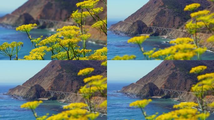 加州的大溪桥。在路上行驶的汽车。前面有漂亮的黄花