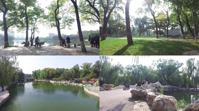 北京龙潭湖公园全民健身锻炼身体舞剑武术