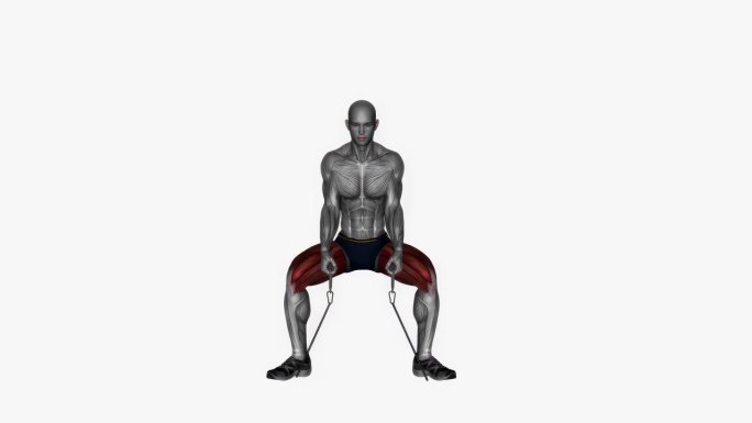 相扑深蹲两腿之间的阻力带健身运动锻炼动画男性肌肉突出演示4K分辨率60 fps