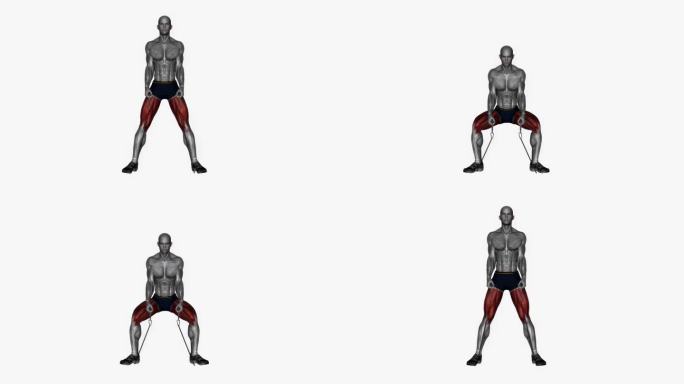 相扑深蹲两腿之间的阻力带健身运动锻炼动画男性肌肉突出演示4K分辨率60 fps