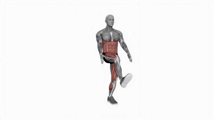 体重深蹲到前腿健身运动锻炼动画男性肌肉突出演示4K分辨率60 fps