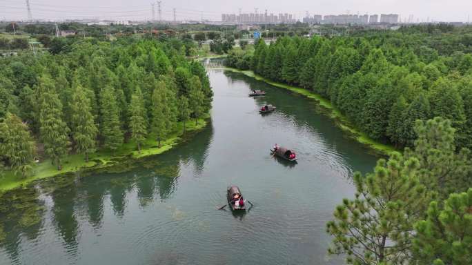 常州新龙生态林水上森林