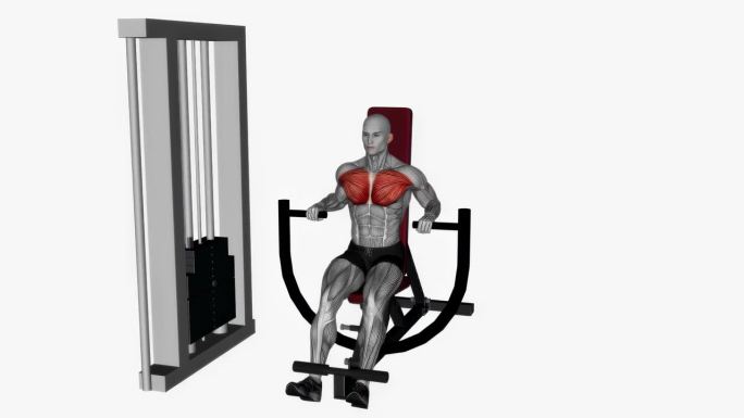机器胸部按压下降健身运动锻炼动画男性肌肉突出演示4K分辨率60 fps