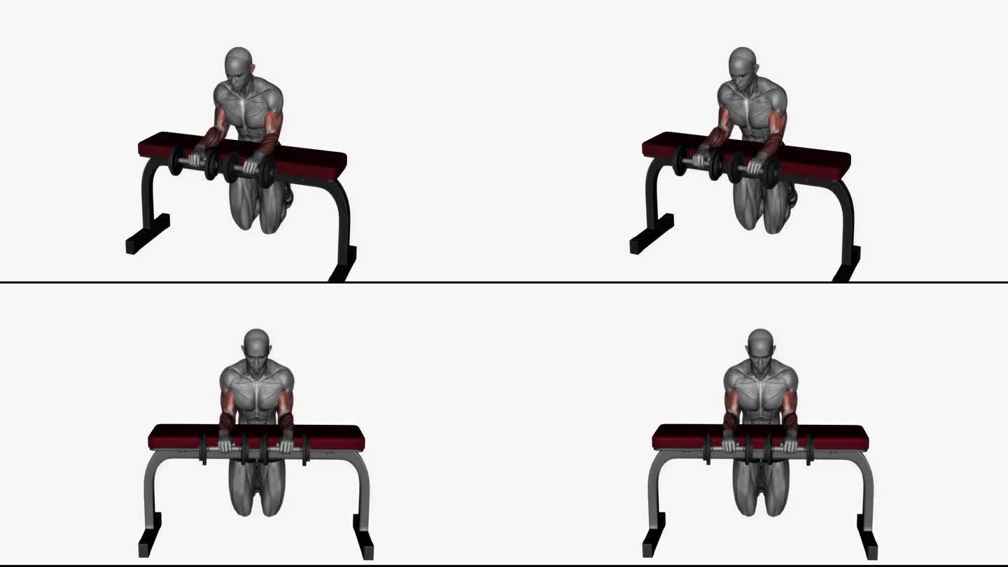 手腕伸展哑铃健身运动锻炼动画男性肌肉突出演示4K分辨率60 fps