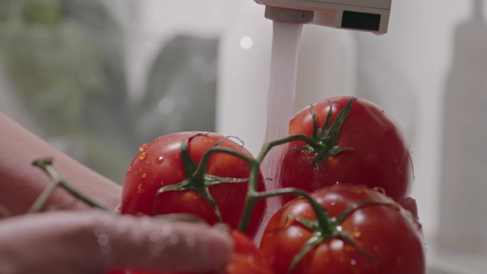 洗番茄和蔬菜洗番茄和蔬菜