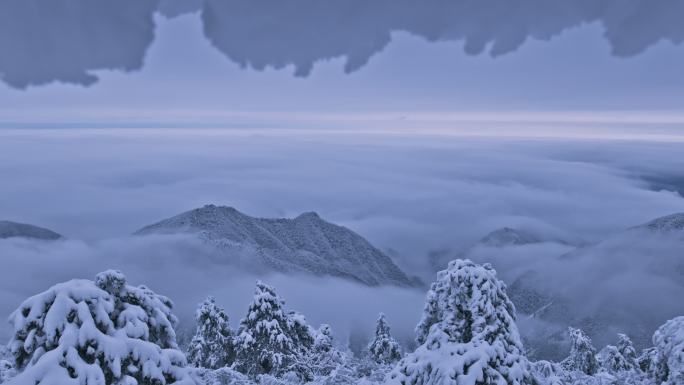 杭州牵牛岗群山森林雪景云海延时