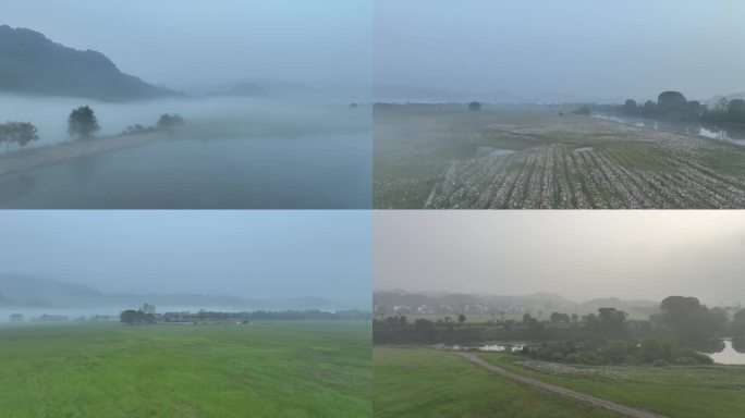 杭州建德下涯湿地晨雾航拍