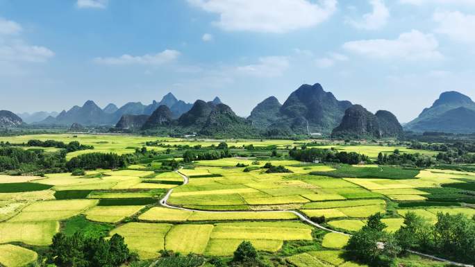 航拍秋天阳光下桂林山边河流两旁金色的稻田