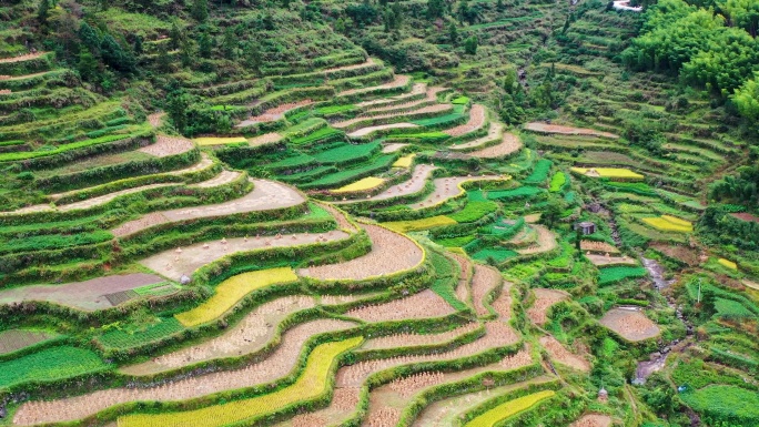 浙江黄岩西部山区，富山乡，决要村