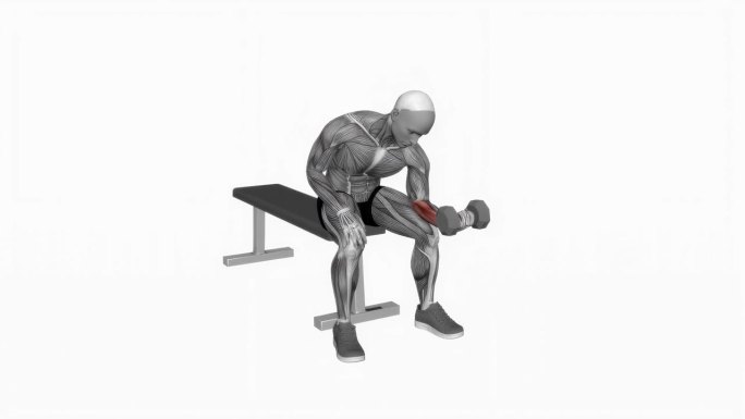 哑铃单臂腕部弯曲健身运动锻炼动画男性肌肉突出演示4K分辨率60 fps
