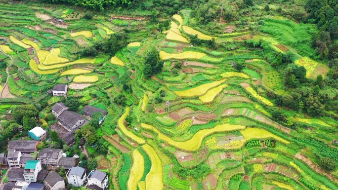 浙江黄岩西部山区，富山乡，半山古村落