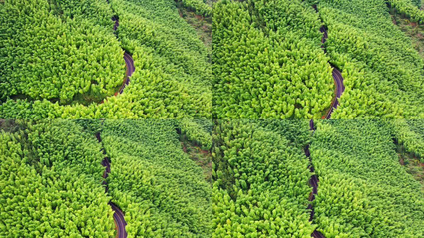 浙江黄岩西部山区，富山乡，竹林航拍