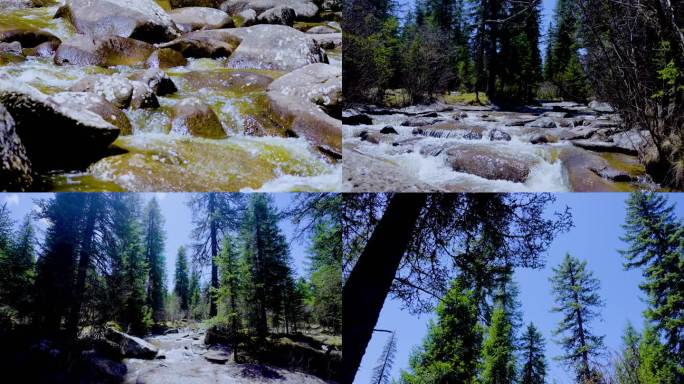 原始森林河流 森林大自然流水