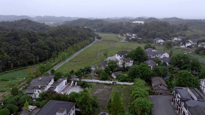 湖南益阳清溪村夏季航拍