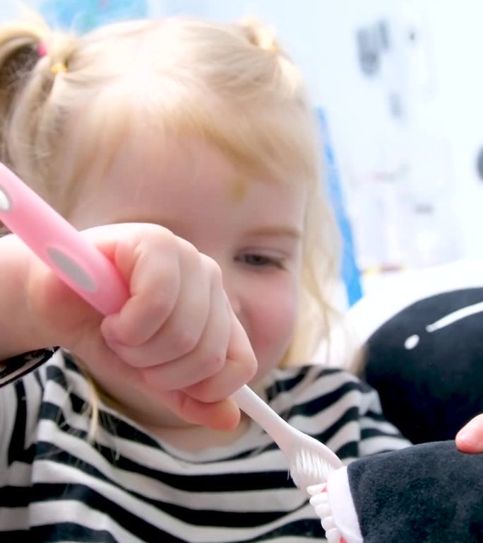 科学正确刷牙小女孩学会用牙刷清洁牙齿上的污垢，这样手上就不会有蛀牙了毛绒玩具斑马学前教育示范项目