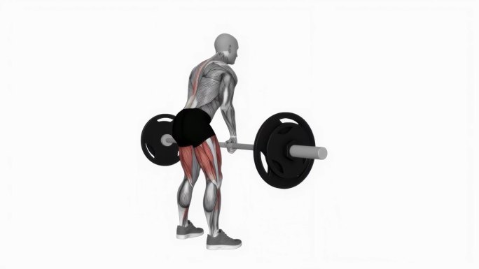 杠铃相扑罗马尼亚硬举健身运动锻炼动画男性肌肉突出演示4K分辨率60 fps