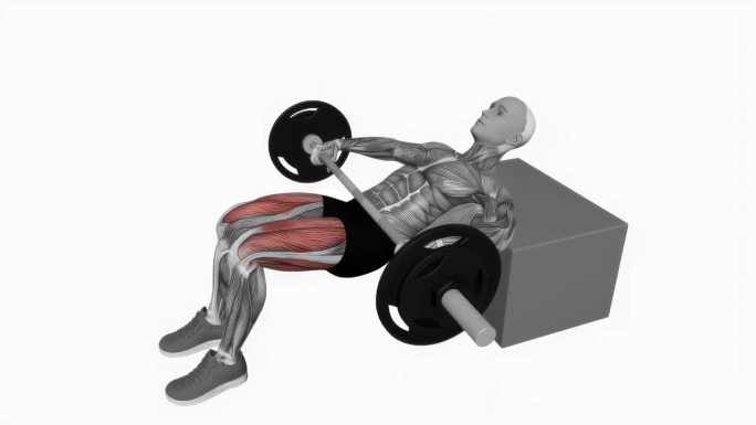 杠铃KAS臀肌桥健身运动锻炼动画男性肌肉突出演示4K分辨率60 fps