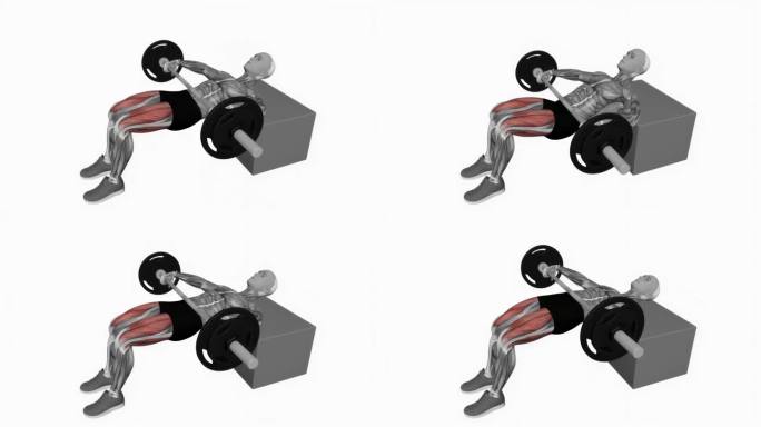 杠铃KAS臀肌桥健身运动锻炼动画男性肌肉突出演示4K分辨率60 fps