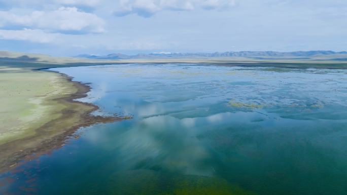 尕海草原湿地生态航拍