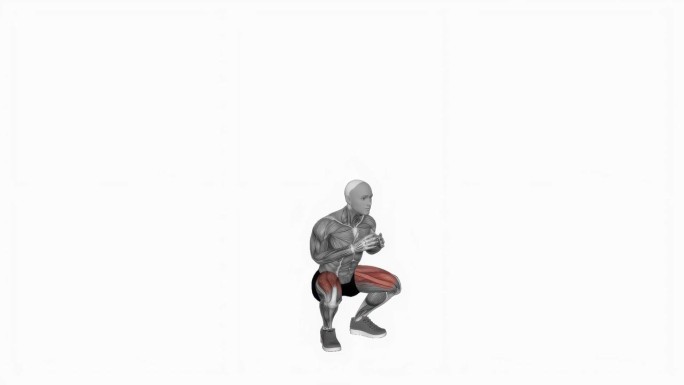 双跳深蹲健身运动锻炼动画男性肌肉突出演示4K分辨率60 fps