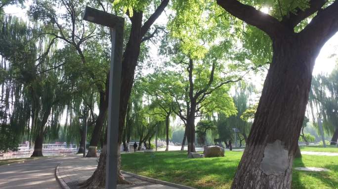 北京市龙潭湖公园游玩旅游锻炼身体舞剑武术