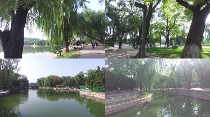 北京市龙潭湖公园游玩旅游锻炼身体舞剑武术